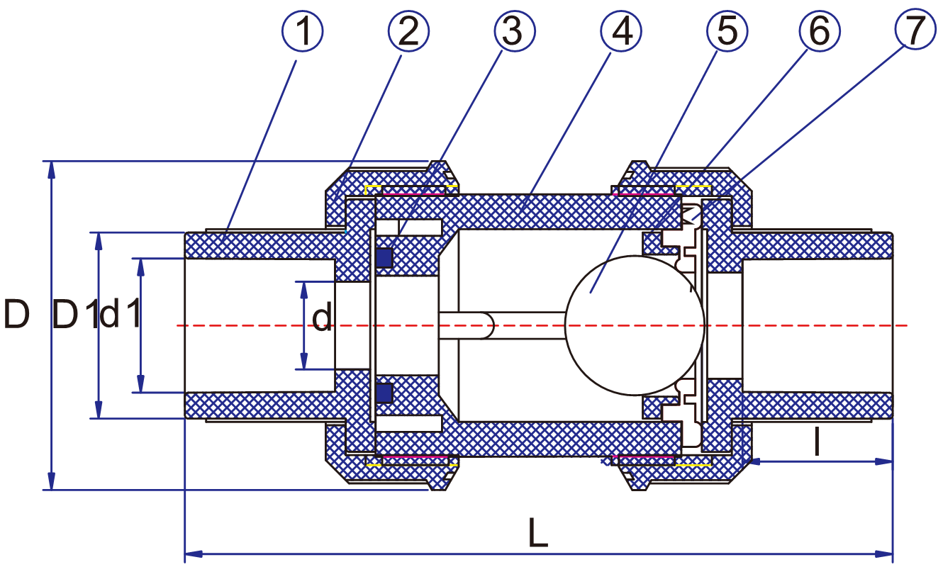 CBC02 True Union Ball Check Valve