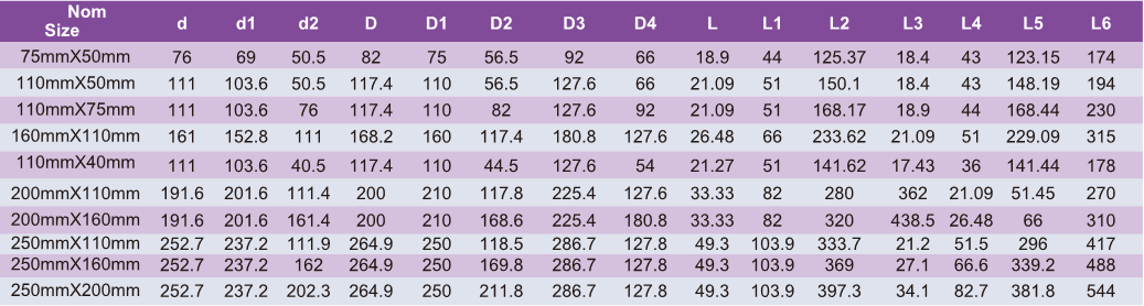 UDRN004 Reducing Skew Tee M/F