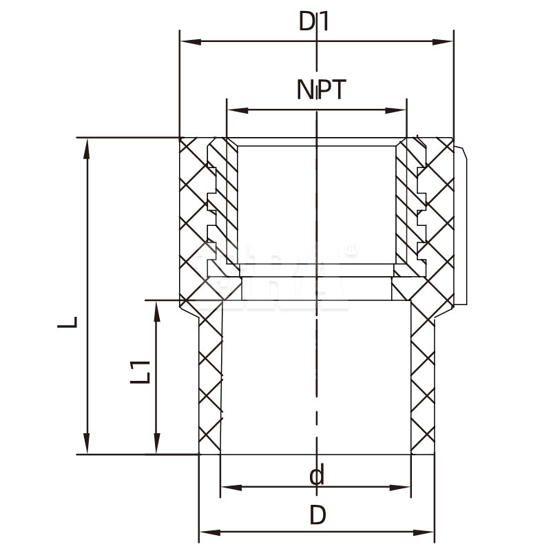 CPBB04 Brass Threaded Female Adaptor